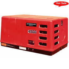 New Design Best St Generator (BH3800EiS)